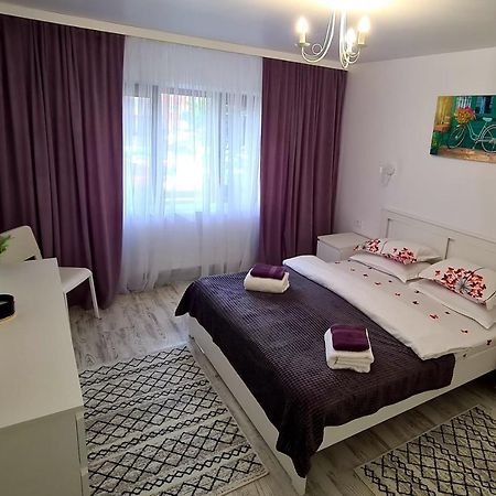 La Fluturi Apartament Appartamento Suceava Esterno foto