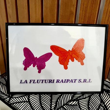 La Fluturi Apartament Appartamento Suceava Esterno foto