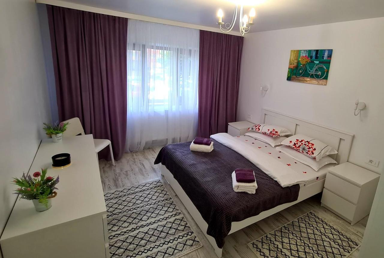 La Fluturi Apartament Appartamento Suceava Esterno foto