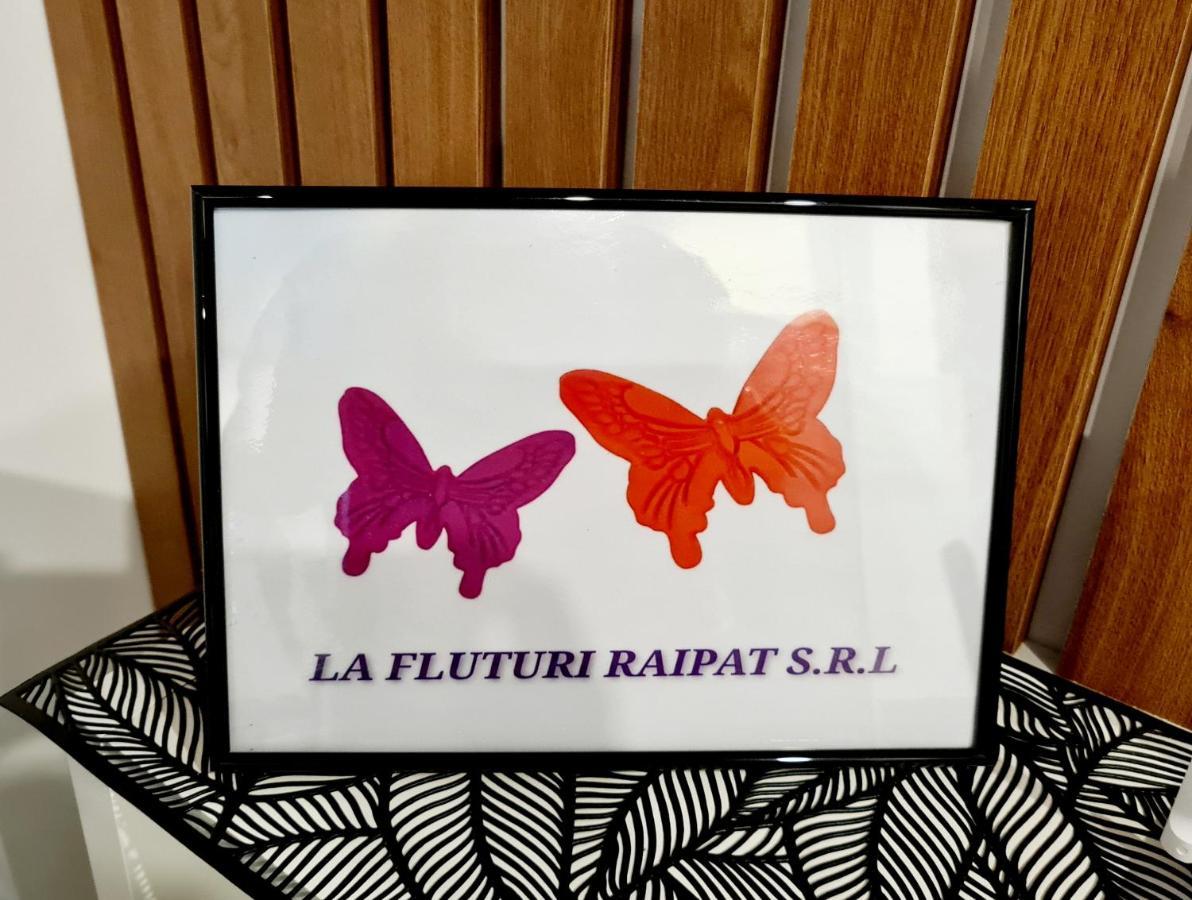La Fluturi Apartament Appartamento Suceava Esterno foto